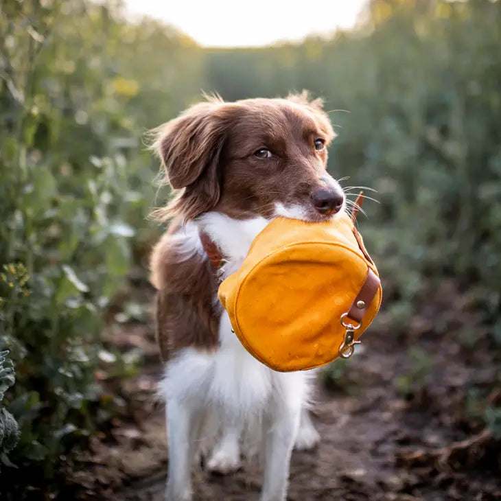 Dog Food & Water Bowls - Waxed Canvas & Vegan Leather